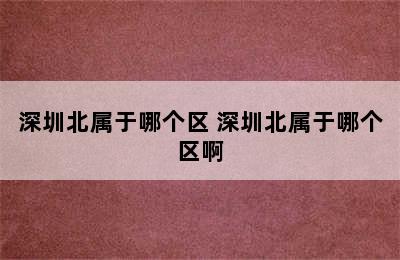 深圳北属于哪个区 深圳北属于哪个区啊